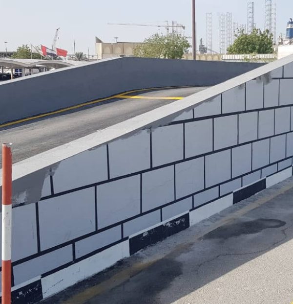 Emirates Driving Institute (1)